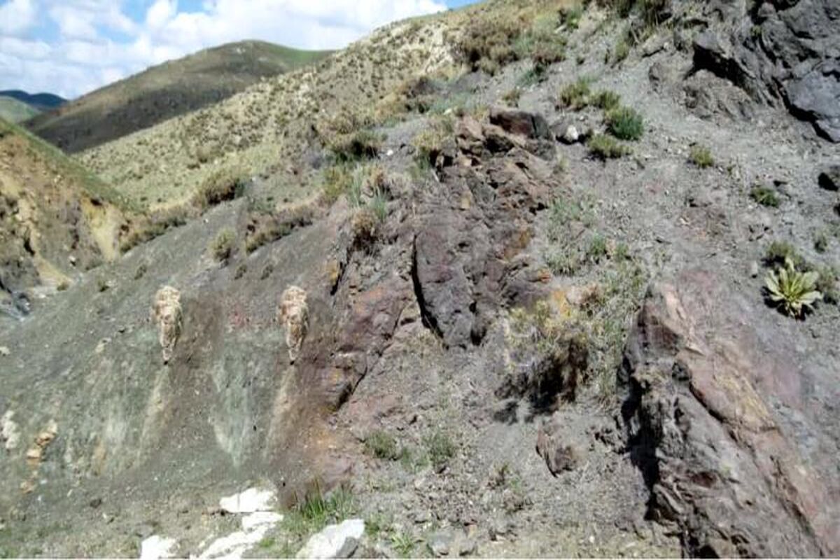 فولاد مبارکه