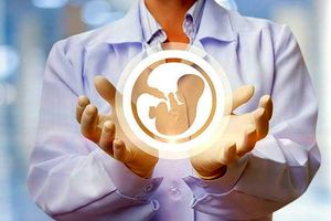 به عدد ۲.۵ نرخ کلی باروری باید رسیده شود