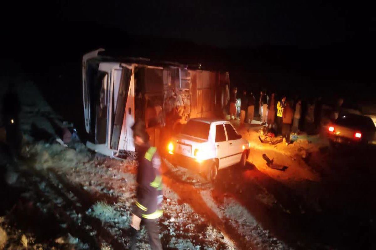 IMG_20241211_091813_794