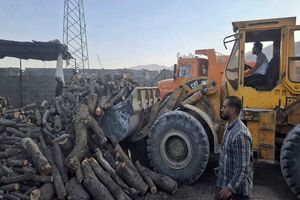 کشف ۲۵ تن هیزم و ۱۱ تن زغال از قاچاقچیان چوب در کازرون