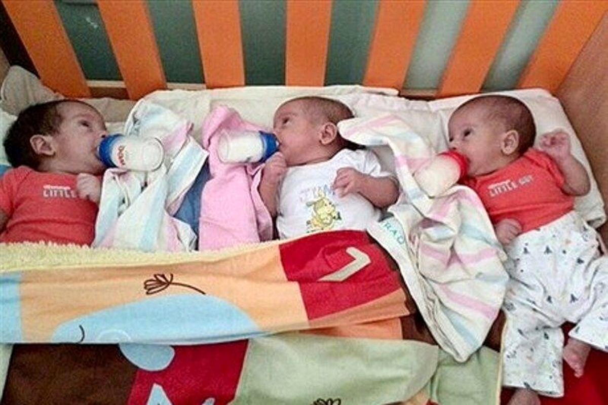 خانواده دارای فرزند 3 قلو