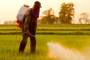 مانور دو روزه نظارت بر تولید و توزیع سموم کشاورزی کلید خورد