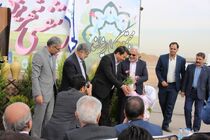 طرح هر شهید یک درخت در یزد اجرا می شود