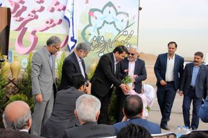 طرح هر شهید یک درخت در یزد اجرا می شود