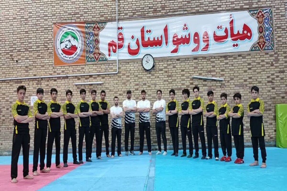 ووشو