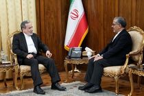 سفیر ایران در ژاپن با وزیر امور خارجه دیدار کرد