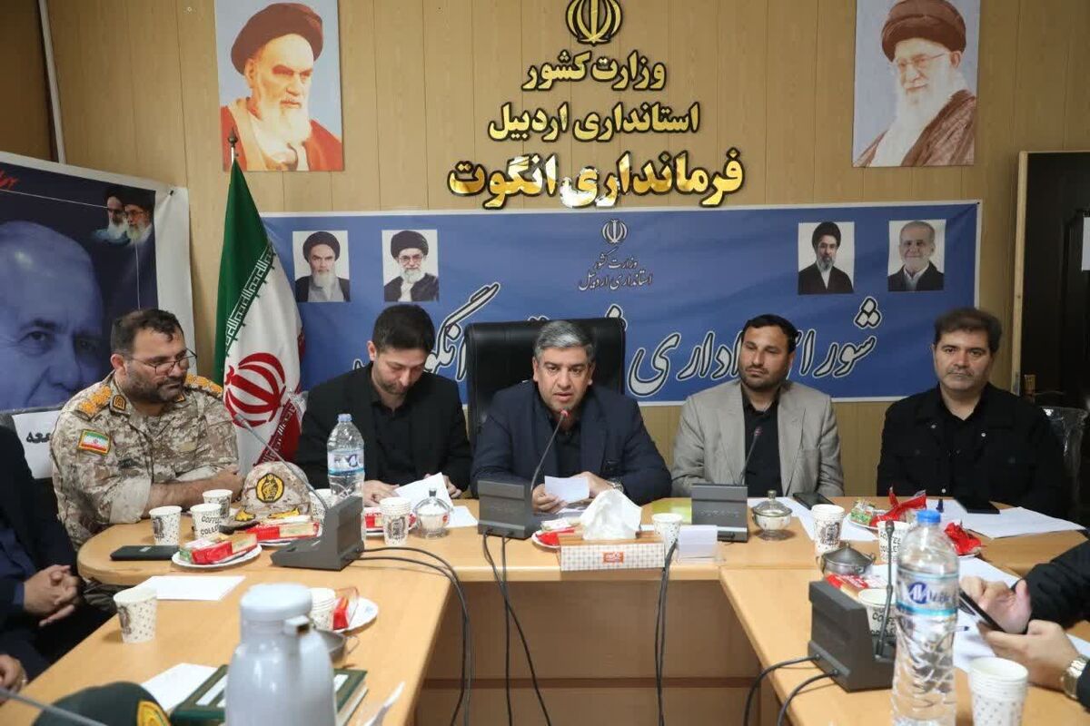 استاندار در انگوت