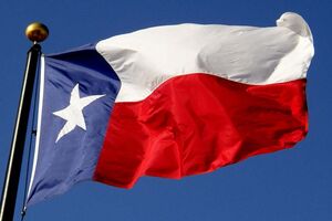 Chile is willing to join BRICS
