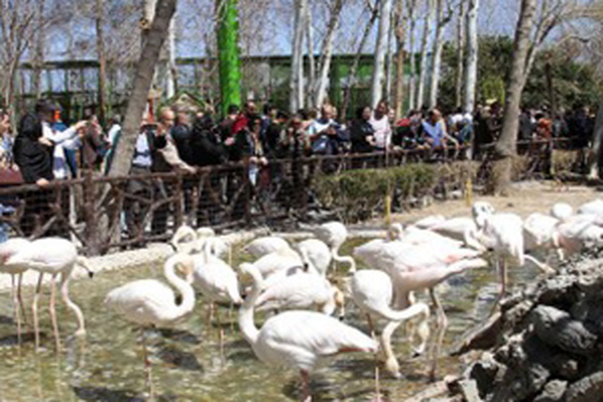 اصفهان- ناژوان