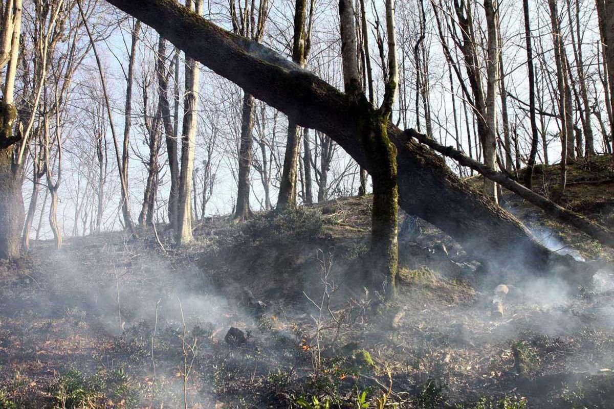 افزایش دما وزش باد گرم