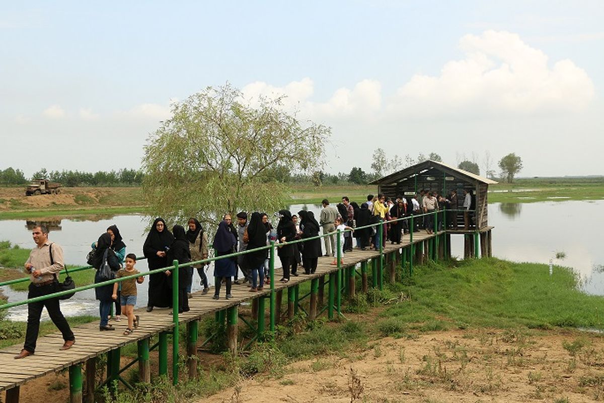 حیات وحش سلکه