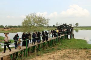 ورود فاضلابهای انسانی یکی از دلایل کاهش عمق تالاب انزلی است