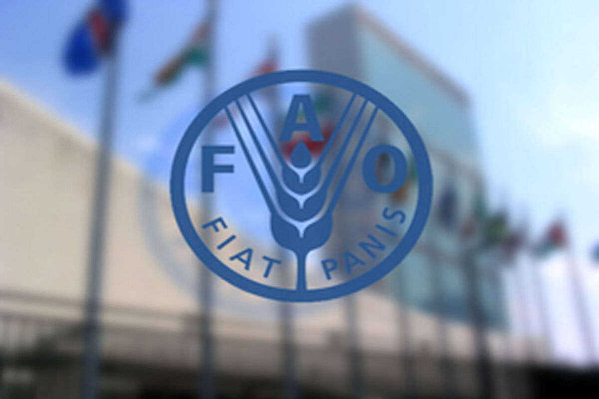  سازمان غذا و کشاورزی ملل متحد (فائو)