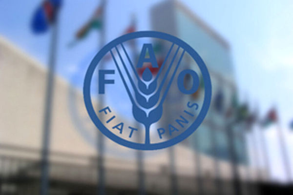 سازمان فائو برای همکاری با بخش کشاورزی ایران آمادگی کامل دارد