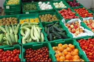 نخستین کنفراس بین المللى و دهمین کنگره ملى علوم باغبانى ایران برگزار مى شود