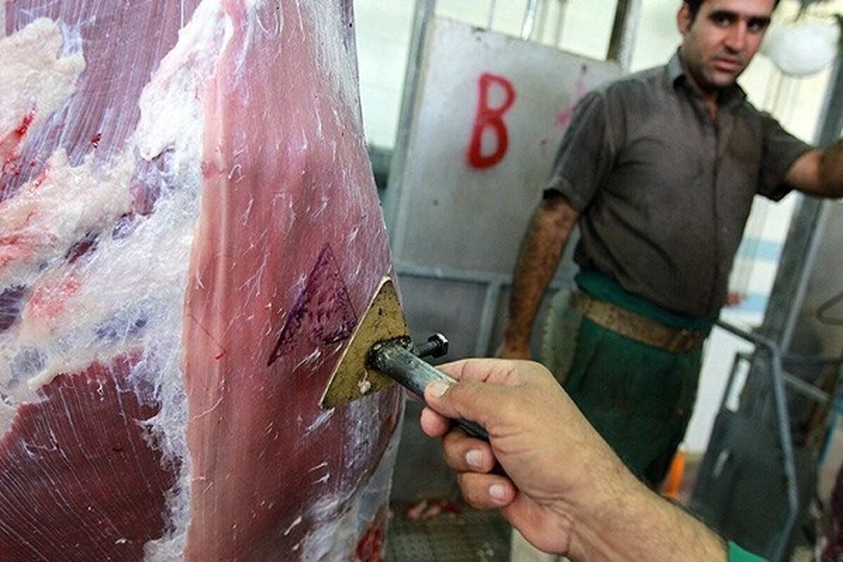 گوشت‌های خیابانی می‌توانند بزرگ‌ترین عامل شیوع کریمه کنگو