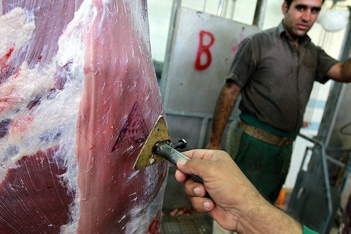 گوشت‌های خیابانی می‌توانند بزرگ‌ترین عامل شیوع کریمه کنگو