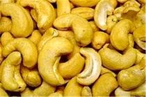 کشف 750 کیلو گرم بادام هندی قاچاق در قم