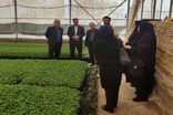 عزم جدی مدیریت جهاد کشاورزی مرودشت برای توانمندسازی زنان روستایی در بخش سیدان