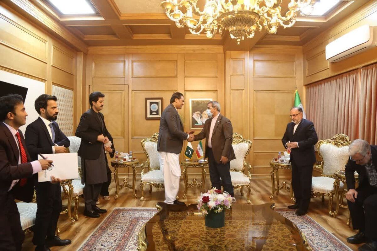دستیار وزیر پاکستان