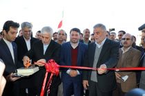 میانگین سنی فعالان حوزه فناوری و نوآوری استان زیر ۳۰ سال است/ زیست بوم فناوری در حوزه ورزش نیازمند تقویت