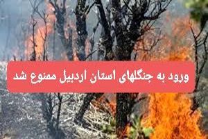 ممنوعیت ورود به جنگل‌های استان اردبیل تا اطلاع ثانوی