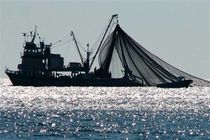 توقیف یک فروند لنج مجهز به ادوات صید ترال غیرمجاز در شرق جاسک