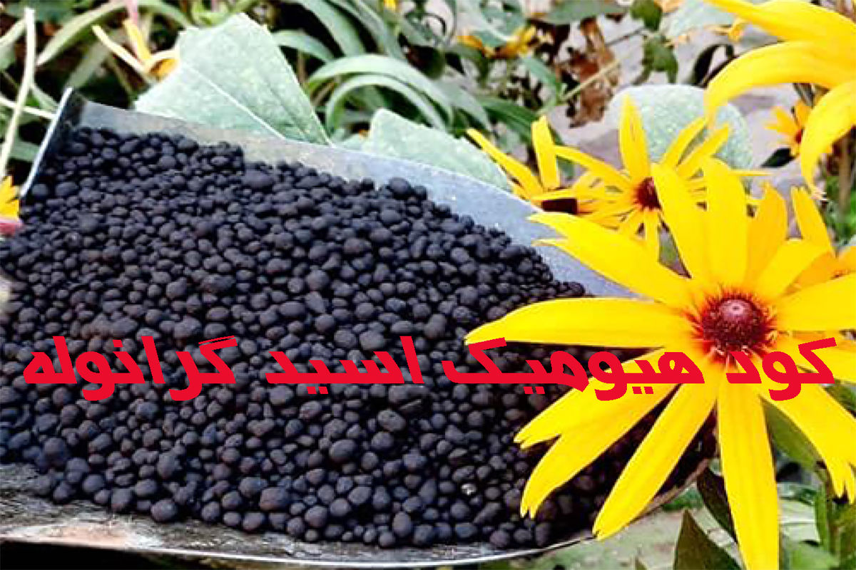  صادرات کود هیومیک