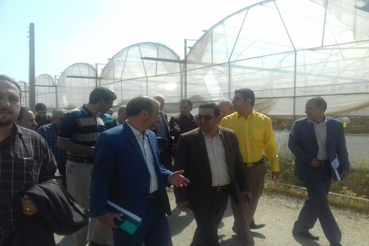 پورمجاهد در تویسرکان