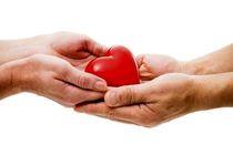 اهدا کنندگان عضو در هرمزگان، جان بیش از ۵۰ نفر را نجات دادند