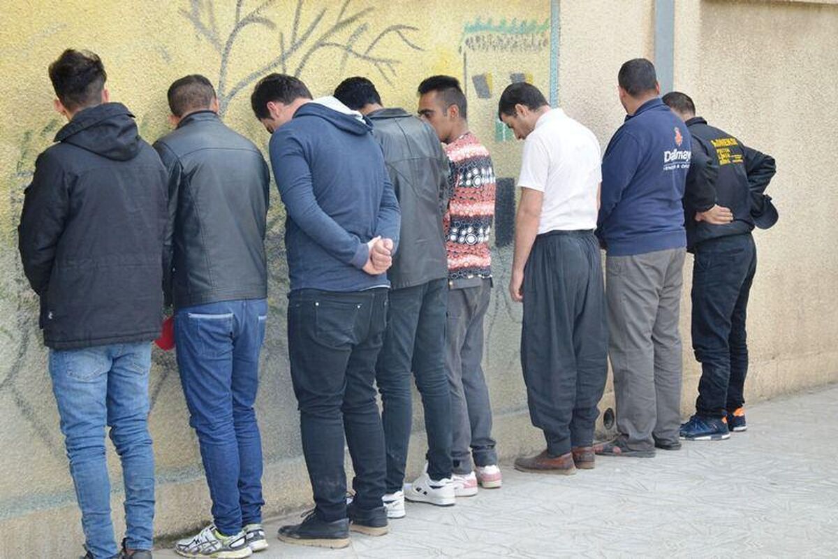 دستگیری مخلان نظم
