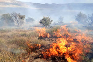 حریق، ۲۰ هکتار از مراتع باجگیران را بکام خود کشید
