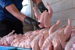 قیمت مرغ در روز 19 اسفندماه