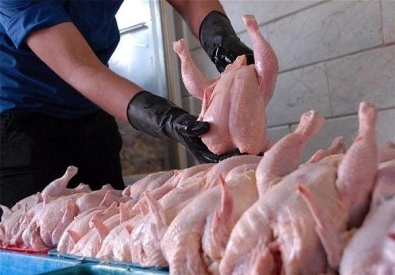 ممنوعیت صادرات مرغ در اسفند و فروردین تصویب شد