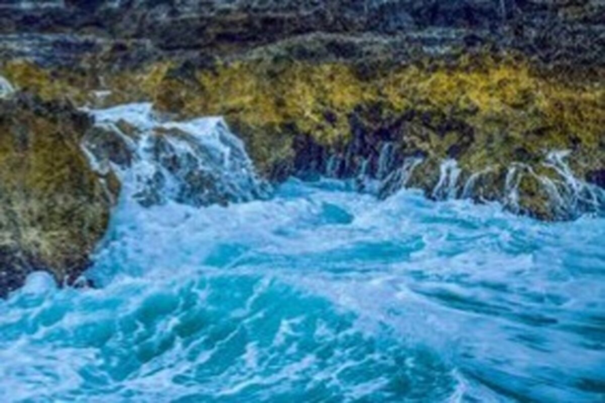 هواشناسی 