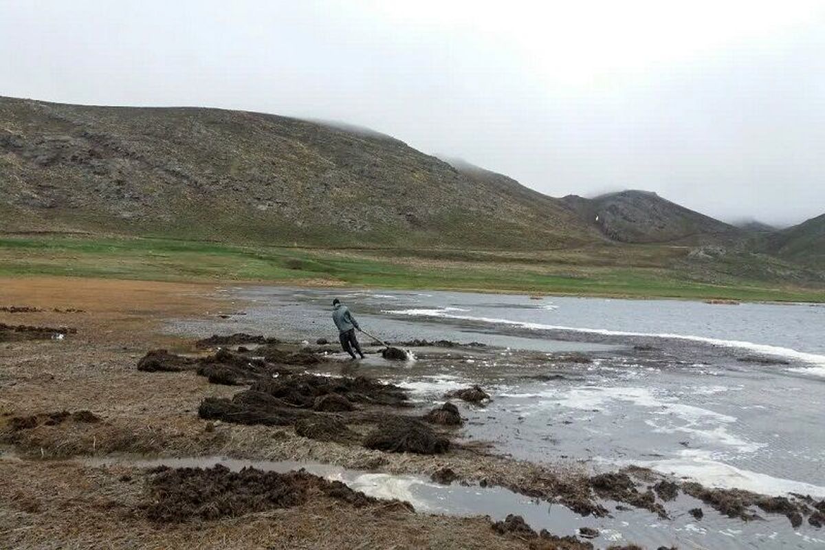 دریاچه نئور