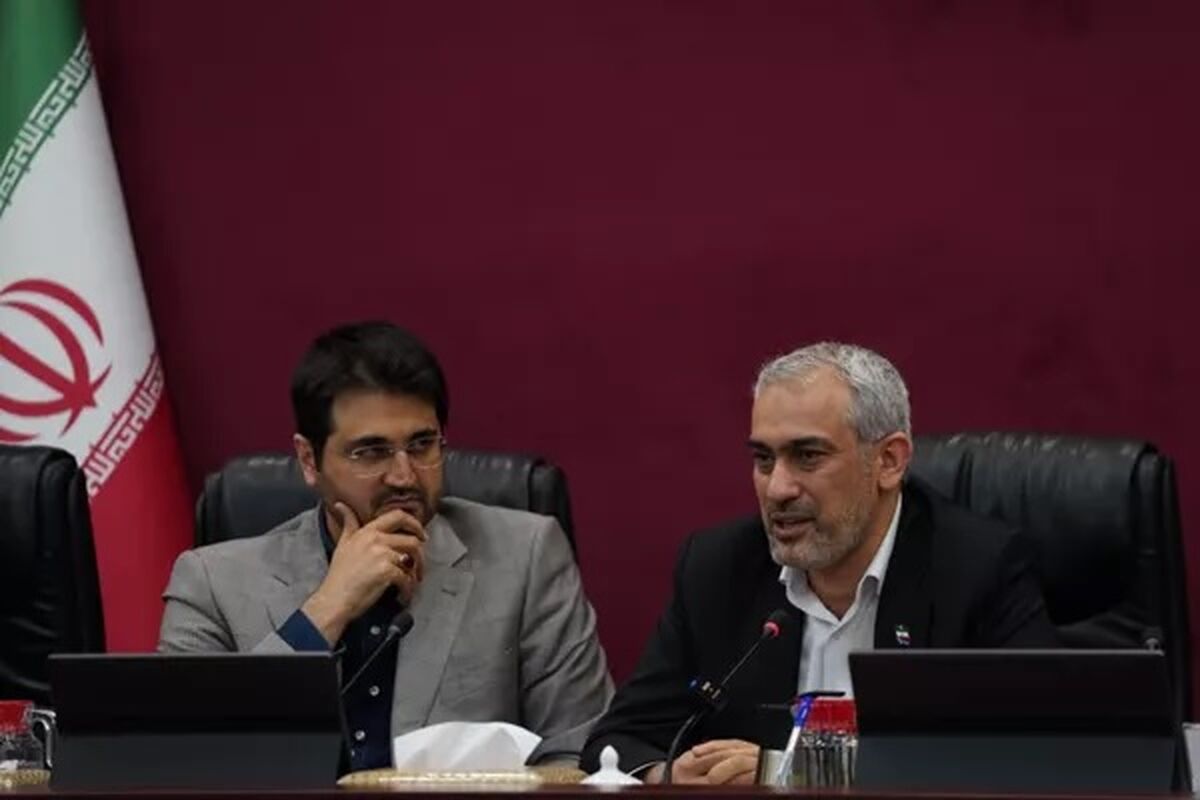 سید علی مدنی‌زاده
