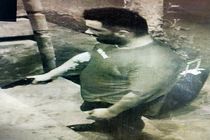 تصاویر سارق مسلح منتشر شد / پلیس از شهروندان درخواست همکاری کرد