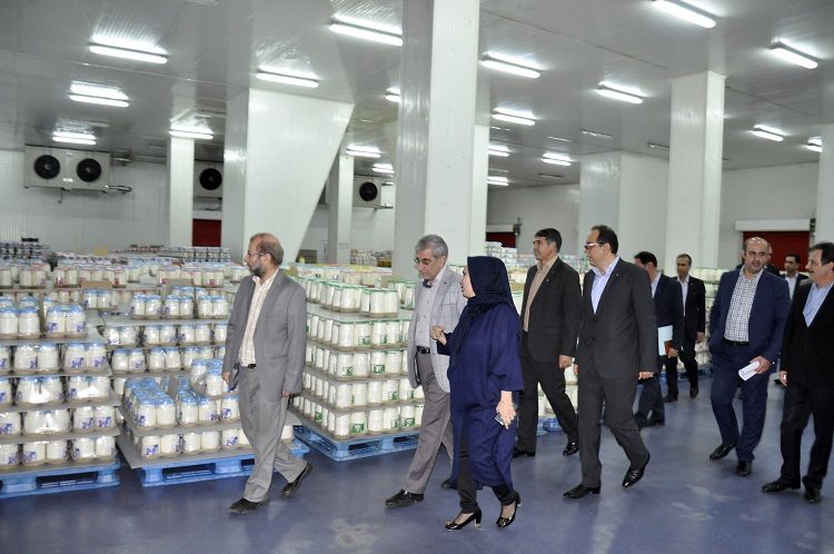 حمایت مالی بانک صادرات از فعالیتهای توسعهای شرکت تولیدی دامداران