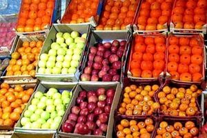 جانمایی ۱۴ جایگاه عرضه میوه و تره بار در بندرعباس