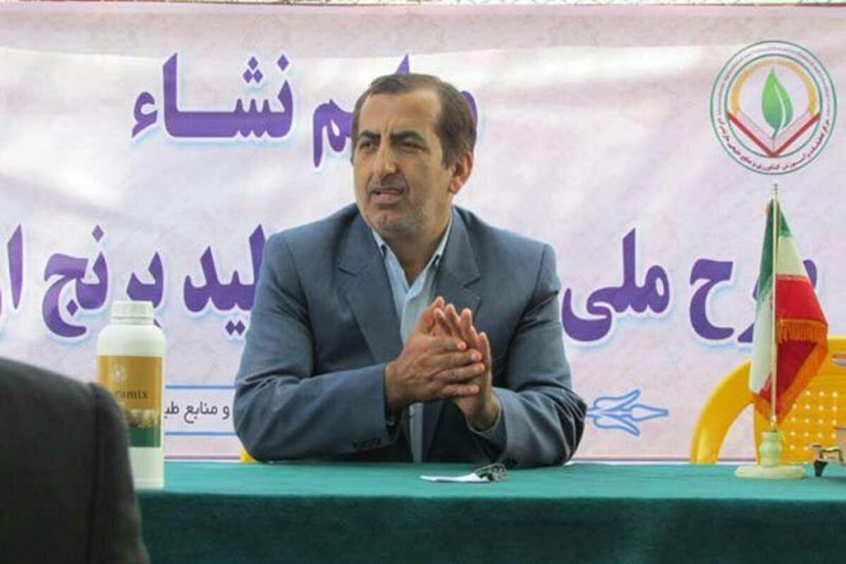 شهیدی فر