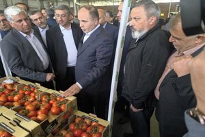  وزیر جهاد کشاورزی از بازار عرضه عمده گوشت و مرغ پایتخت بازدید کرد