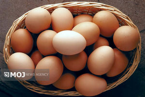 محموله تخم مرغ قاچاق در مرز شلمچه کشف شد