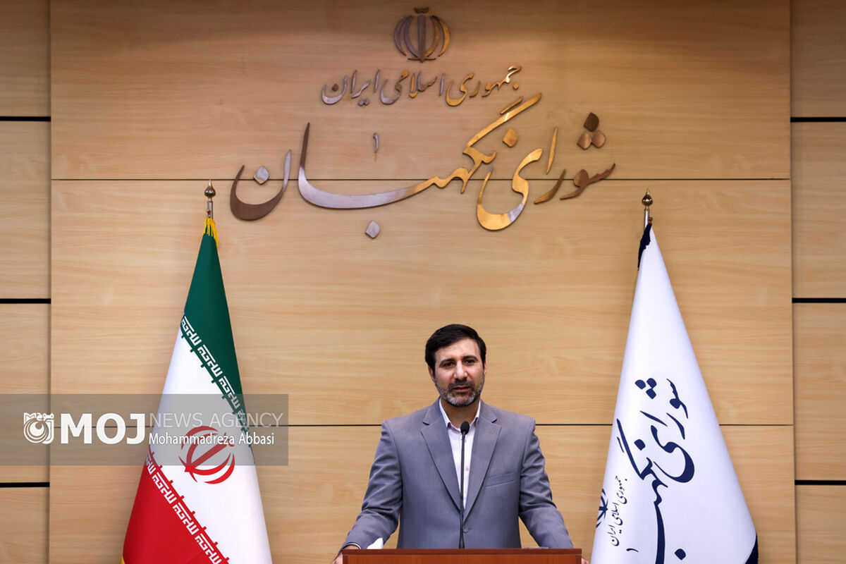 هادی طحان نظیف سخنگوی شورای نگهبان