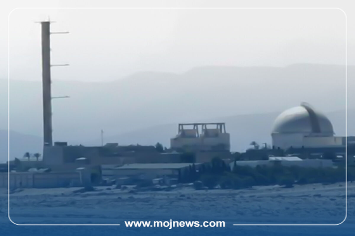 کاور 5 دلیل موج