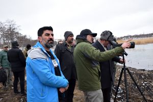 پرنده نگری ظرفیتی برای توسعه گردشگری تالاب "شورابیل" اردبیل 