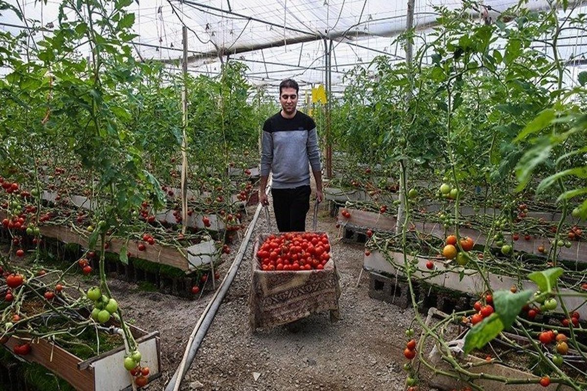  اشتغال پایدار