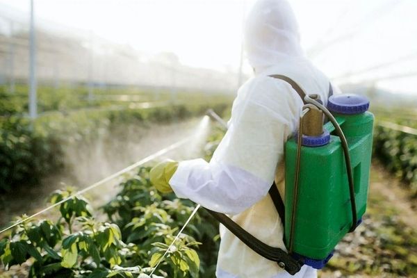 تولید و عرضه محصولات کشاورزی بدون وقفه ادامه دارد