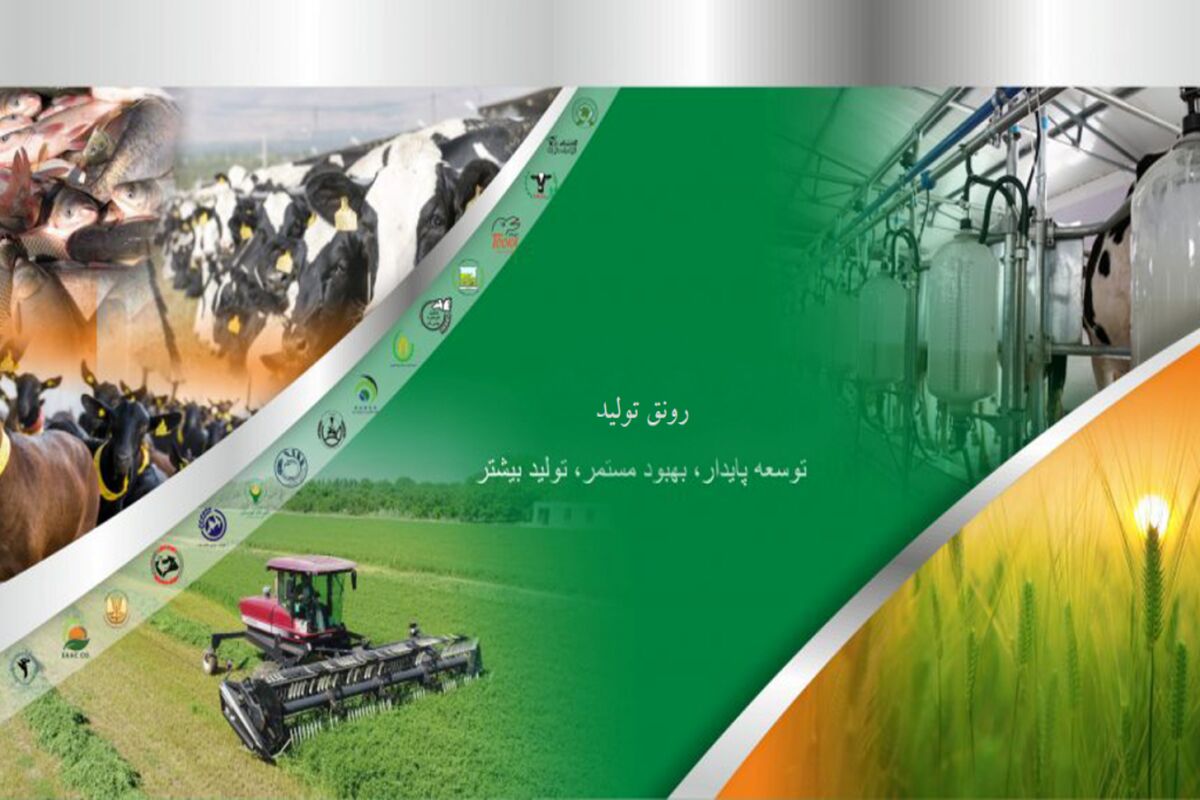 هلدینگ کشاورزی