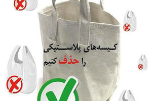 استقبال پوران درخشنده از کمپین "نه به کیسه های پلاستیکی در نانوایی ها"